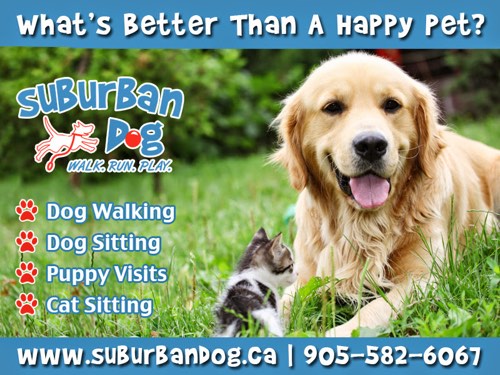 Suburban Dog — dog walking & pet sitting in Oakville (photo 3)