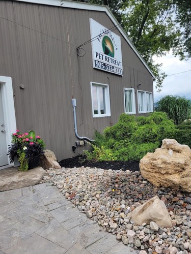 Escarpment Pet Retreat — dog walking & pet sitting in Burlington (photo 3)