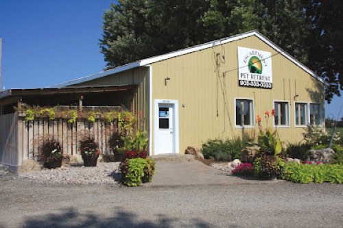 Escarpment Pet Retreat — dog walking & pet sitting in Burlington