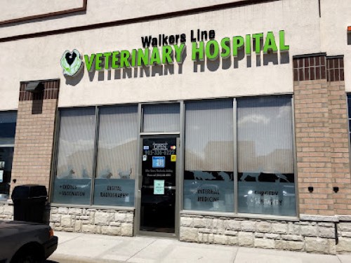 Walkers Line Veterinary Hospital — veterinary care in Burlington