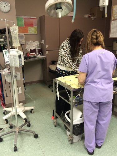 Burlington Veterinary Emergency & Referral Hospital — veterinary care in Burlington (photo 3)