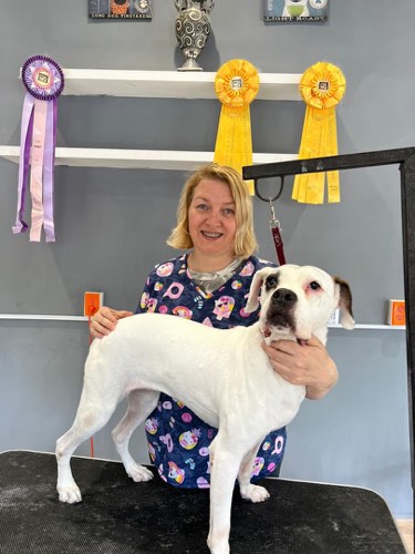 Tatyana Pet Groomer — pet grooming in Oakville (photo 3)