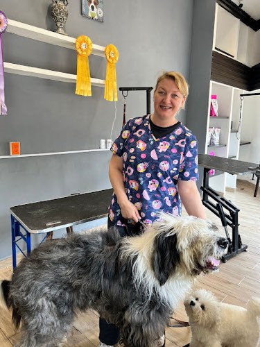 Tatyana Pet Groomer — pet grooming in Oakville