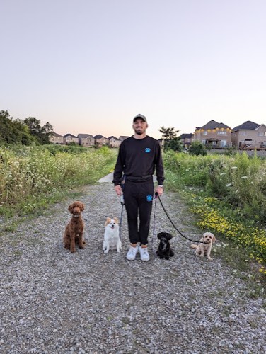 PAWRRIFIC PUPPY — dog training in Oakville