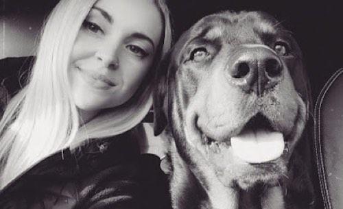 KTK9 Dog Walking — dog walking & pet sitting in Halton Hills