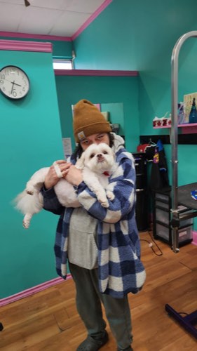Pet grooming in bronte Oakville (The Dog House) — pet grooming in Oakville