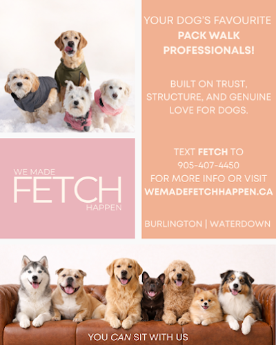 We Made Fetch Happen — dog walking & pet sitting in Burlington