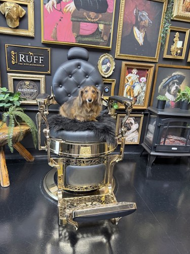 RUFF THE DOG BARBERSHOP — pet grooming in Oakville (photo 3)