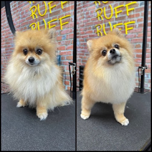 RUFF THE DOG BARBERSHOP — pet grooming in Oakville