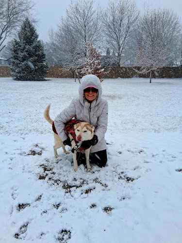 Bonez & Katnip Pet Services — dog walking & pet sitting in Burlington (photo 3)