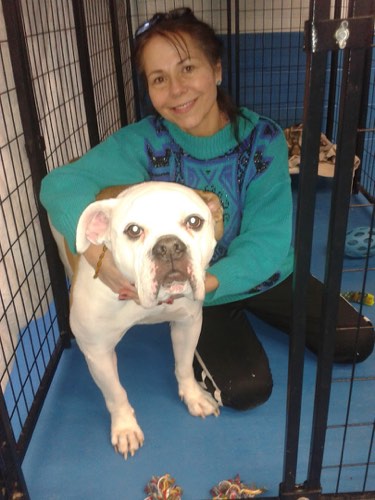 OAKVILLE PET CARE — dog walking & pet sitting in Oakville (photo 2)