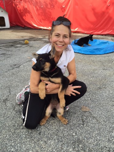 OAKVILLE PET CARE — dog walking & pet sitting in Oakville (photo 3)