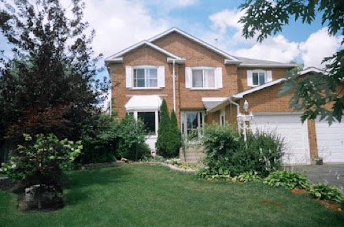 OAKVILLE PET CARE — dog walking & pet sitting in Oakville