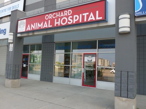 Orchard Animal Hospital — veterinary care in Burlington (photo 2)