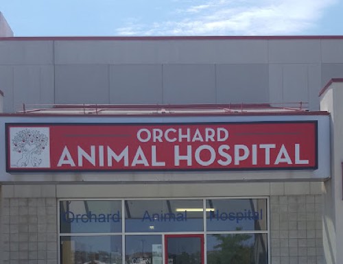 Orchard Animal Hospital — veterinary care in Burlington