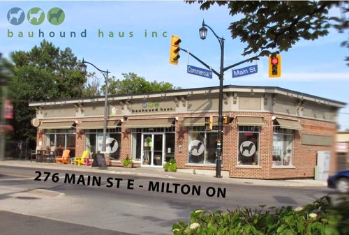 BauHound Haus Inc. — pet grooming in Milton (photo 2)
