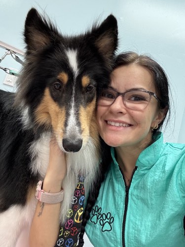 A Dog's Destiny — pet grooming in Burlington (photo 3)