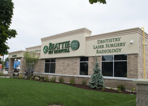 Beattie Pet Hospital - Burlington — veterinary care in Burlington (photo 2)