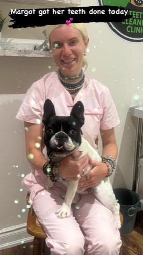 The Dog & Cat Teeth Cleaning Boutique 🌿 All Natural — pet grooming in Burlington (photo 2)