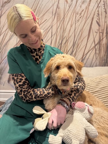 The Dog & Cat Teeth Cleaning Boutique 🌿 All Natural — pet grooming in Burlington (photo 3)