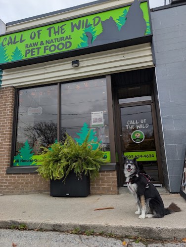 The Dog & Cat Teeth Cleaning Boutique 🌿 All Natural — pet grooming in Burlington