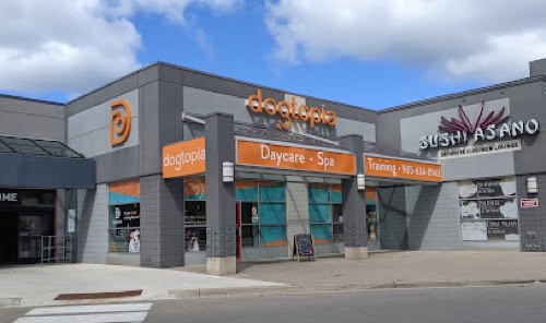 Dogtopia of Burlington — pet grooming in Burlington