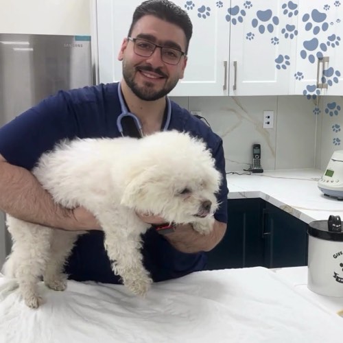 Speers Road Animal Hospital — veterinary care in Oakville (photo 2)