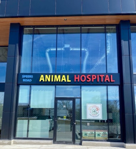 Speers Road Animal Hospital — veterinary care in Oakville (photo 3)