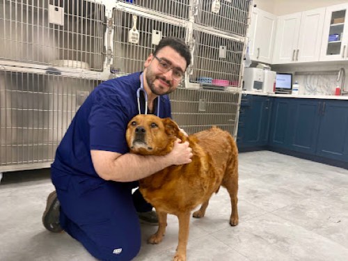 Speers Road Animal Hospital — veterinary care in Oakville