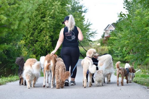 Paws & Strides — dog walking & pet sitting in Halton Hills