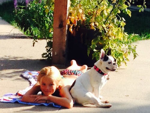 Skallywags — dog walking & pet sitting in Burlington