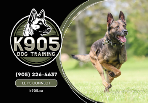 K905 Dog Training — dog training in Oakville