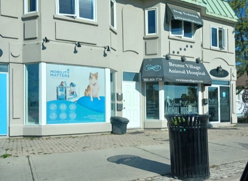 Bronte Village Animal Hospital — veterinary care in Oakville (photo 3)