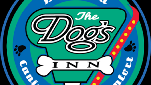 The Dog's Inn — pet daycare & boarding in Milton