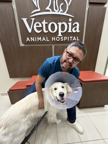 Vetopia Animal Hospital — veterinary care in Burlington (photo 3)
