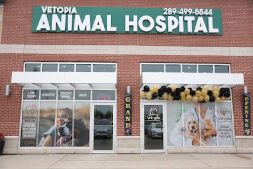 Vetopia Animal Hospital — veterinary care in Burlington