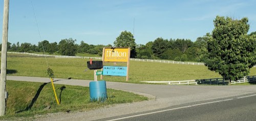 Milton Equine Hospital — veterinary care in Campbellville