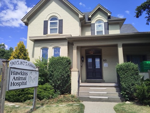 Hawkins Animal Hospital — veterinary care in Milton (photo 2)