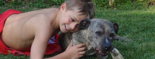 Hollybank Animal Hospital — veterinary care in Milton
