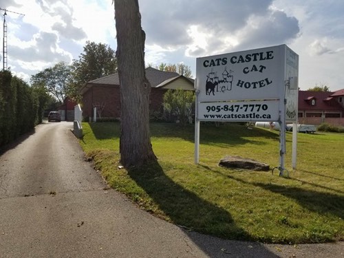 Cats Castle Cat Hotel — pet daycare & boarding in Oakville (photo 3)