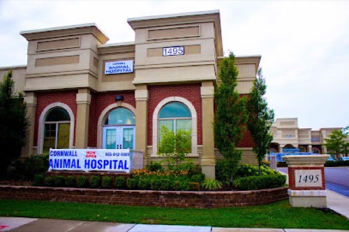 Cornwall Animal Hospital in Oakville — veterinary care in Oakville