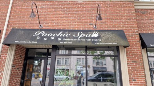 Poochie Spaw — pet grooming in Oakville (photo 3)