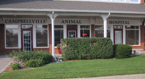 Campbellville Animal Hospital — veterinary care in Campbellville