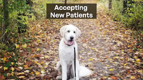 Georgetown Animal Clinic — veterinary care in Georgetown