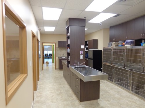 Upper Oakville Pet Hospital — veterinary care in Oakville (photo 2)
