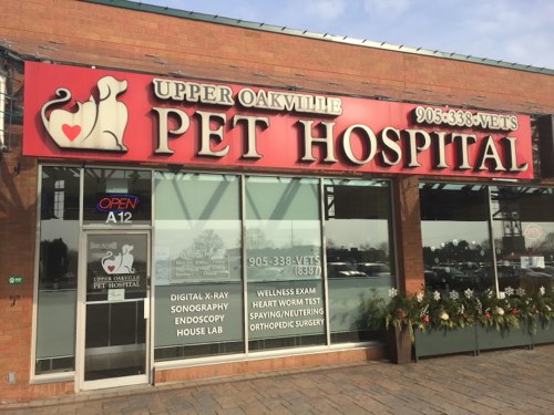 Upper Oakville Pet Hospital — veterinary care in Oakville (photo 3)