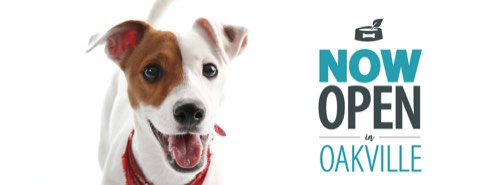 the Bone & Biscuit Co. - Oakville South — pet store in Oakville (photo 2)