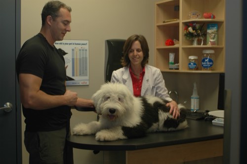 South Side Pet Hospital — veterinary care in Burlington (photo 3)