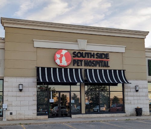 South Side Pet Hospital — veterinary care in Burlington