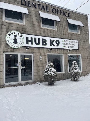 Hub K9 — dog walking & pet sitting in Georgetown